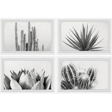Birch Lane™ Topeka Dried Flower Framed On Paper 16 Pieces Print