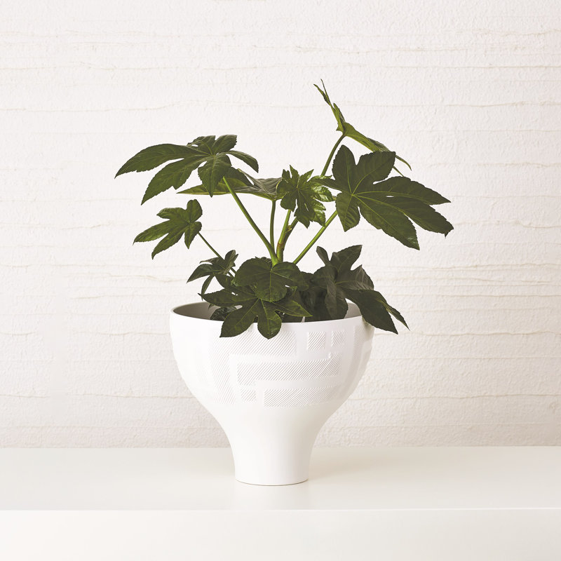 Chaco Bowl-Matte White