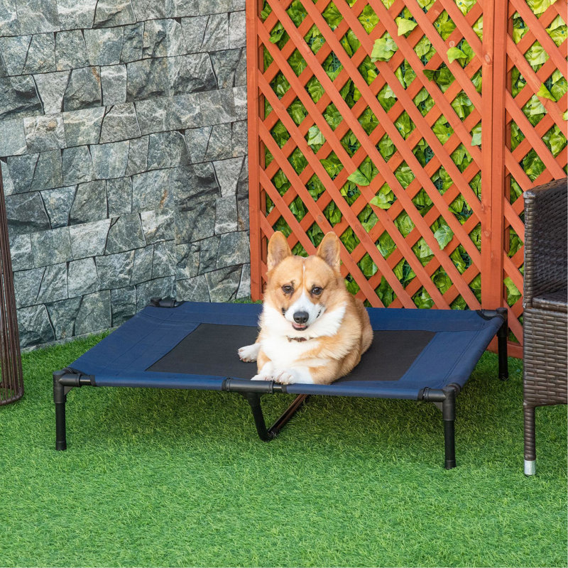Lit pour chien surélevé de 36 po x 30 po avec filet, bleu - s'adapte aux besoins de santé quotidiens du système nerveux pour animaux de compagnie: refroidissement 36 po x 30 po, pour utilisation par les grands chiens