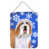 Bearded Collie (Brown and White)