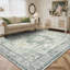 Tapis oriental performance Roehit-1848268755-1865515412