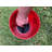 Up The Hatch Plastic Bucket