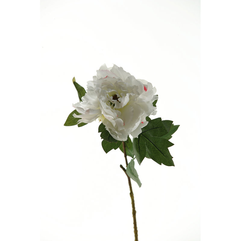 Peony Arrangement