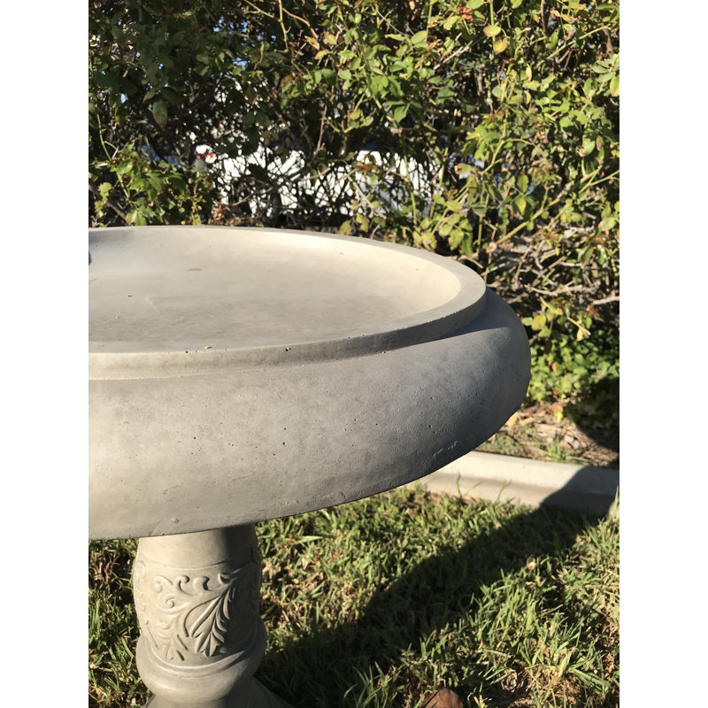 Allaryce Concrete Birdbath