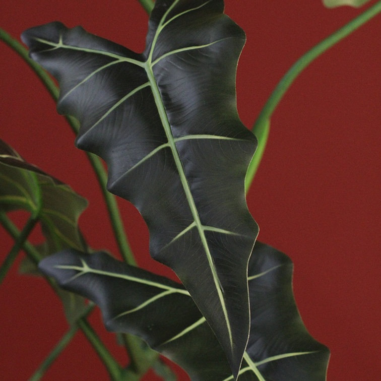 Faux Alocasia Plant in Planter, 170cm H x 120cm W x 120cm D, 37