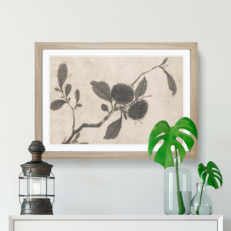 Branch of a Fruit Tree by Shen Zhou - Picture Frame Painting Print, 27cm H x 36cm W x 2cm D, Oak Framed