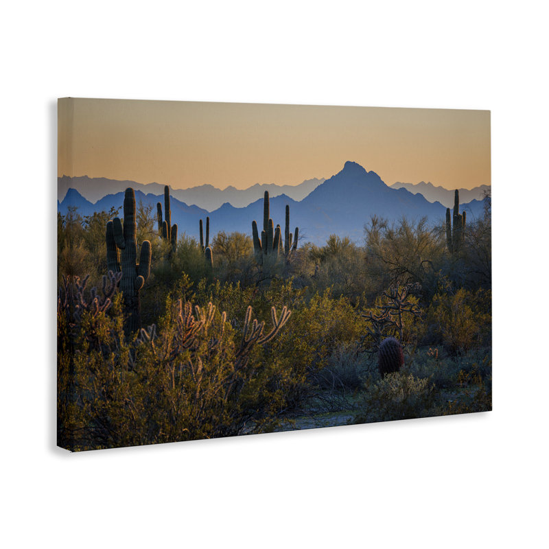 «Contrast Desertscape Scene», art mural sur toile par Marty Hulsebos, H 24 po x l 36 po