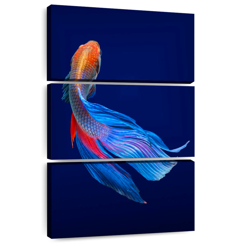 Brampt Thai Betta Fish, 50" H x 32" W