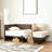 Abdiqani Twin Corduroy Upholstered Daybed-953362756