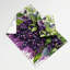 Tapisserie murale «Fruit Marionberry»-133649207