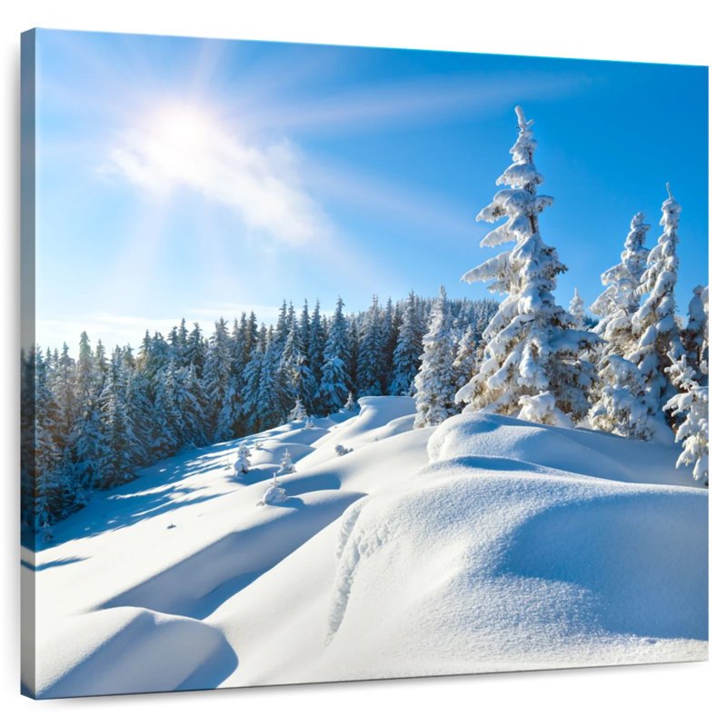 Alvord journée ensoleillée d'hiver, H 33 po x l 33 po
