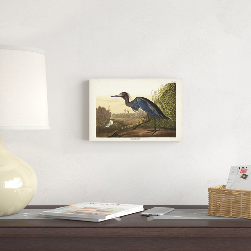 " Pl 307 Blue Crane Or Heron " by James Audubon Painting Print, 8" H x 12" W