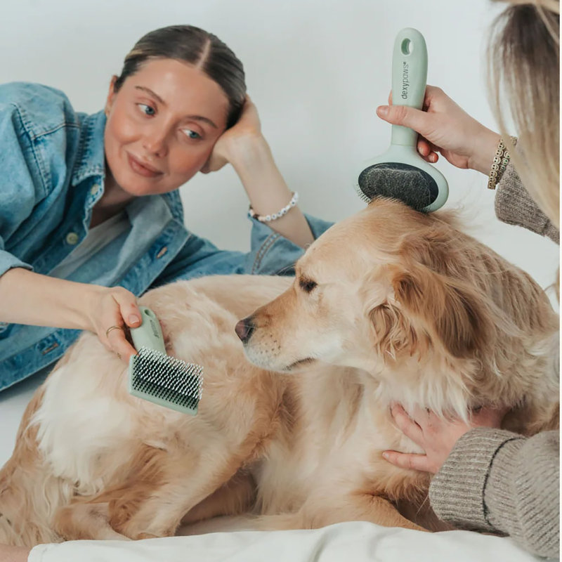 Pet Slicker Brush: Small