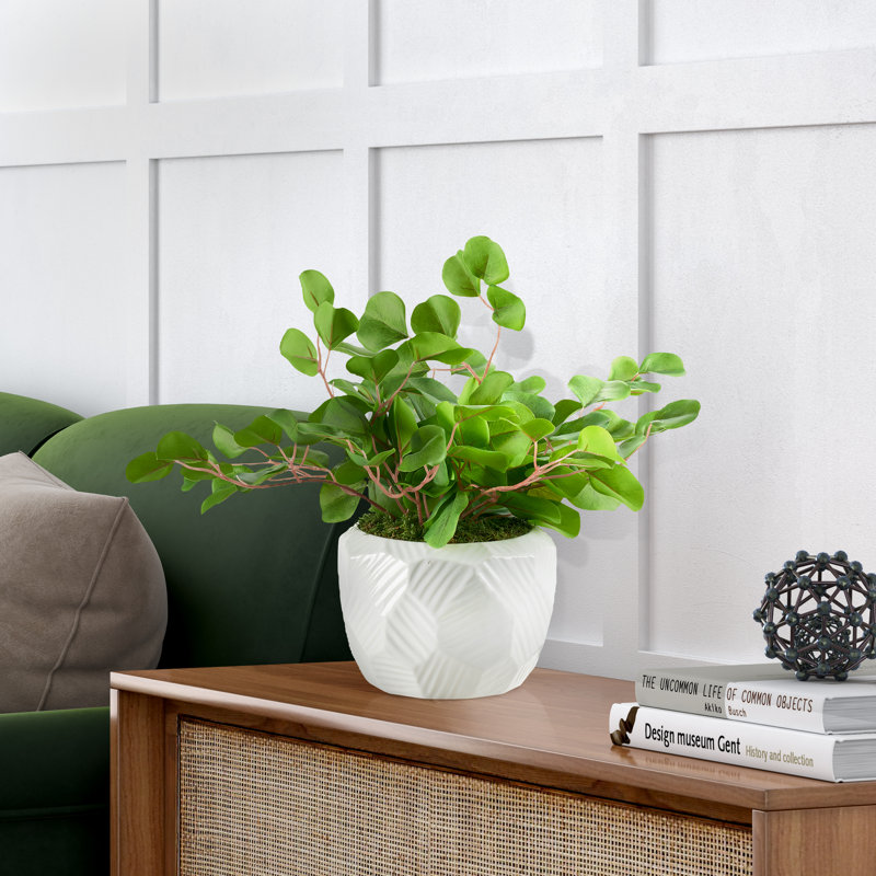 Eucalyptus artificiel 14 po en pot, H 14 po x l 19 po x P 19 po