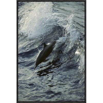 Spinner Dolphin Jumping' Framed Photographic Print on Canvas -  East Urban Home, URBH3710 38219284