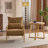 Masson Chenille Accent Chair Armchair With Pillow-1345830616
