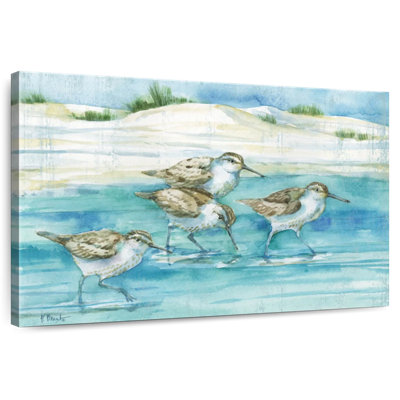 Sandy Sandpipers I