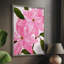 Reproduction encadrée néon rose poinsettias II - bois massif-143807514