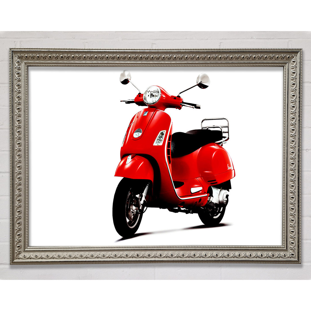 Vespa Mopede - Druck