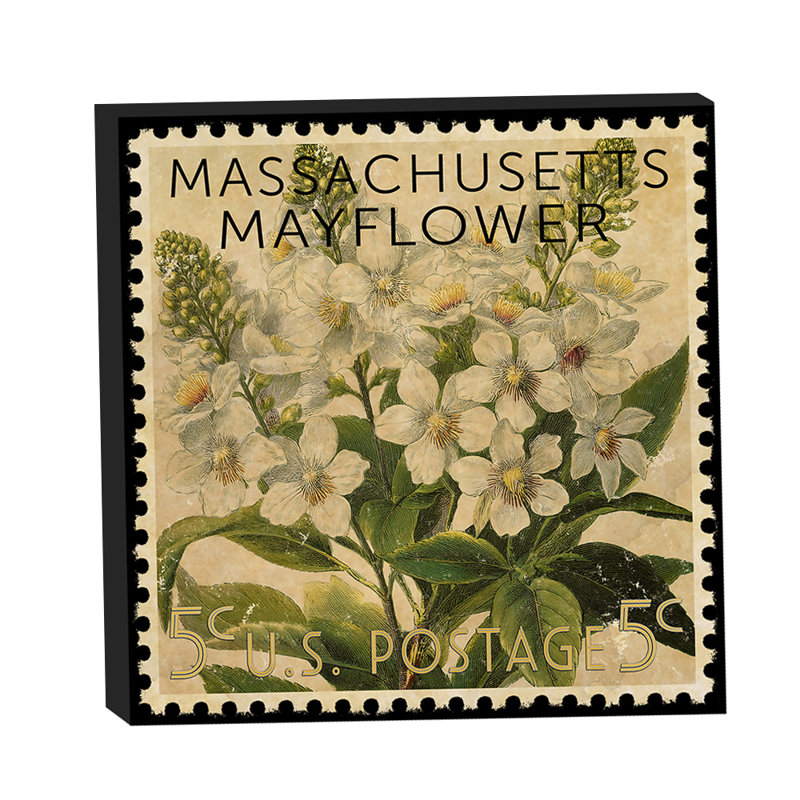 «Massachusetts State Flower Mayflower» par Grotto Studios