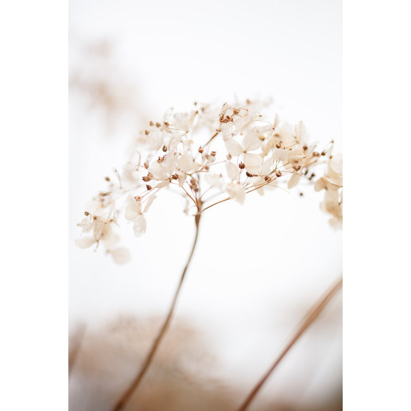 Wrapped Canvas Print, 60.96cm H x 91.44cm W