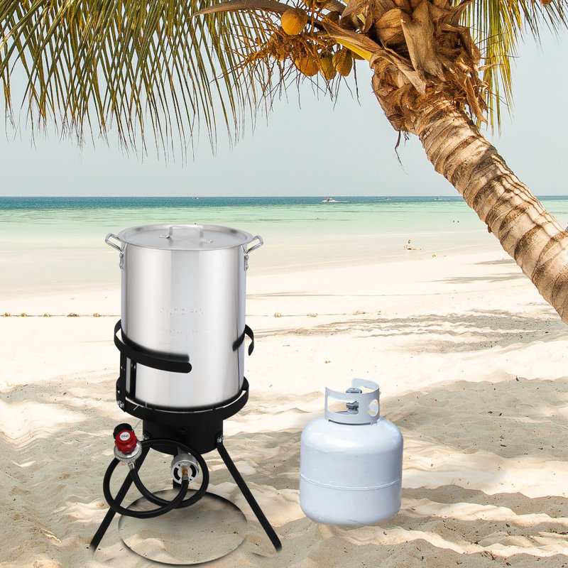 Vinsunny Single Burner Natural Gas Gas Grill