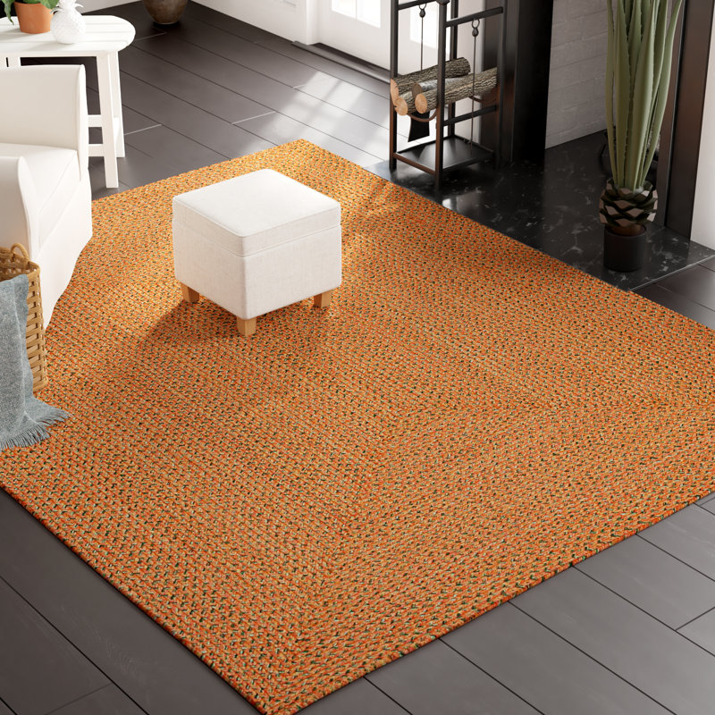 Woodlawn Handmade Braided Cotton Orange Area Rug, Rectangle 5' x 8'