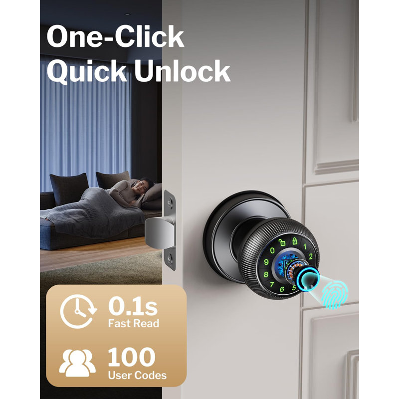 Black Aluminum Smart Fingerprint Door Knob with Keypad