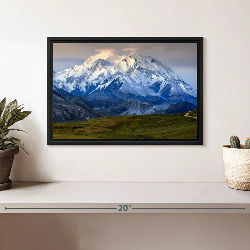 Denali en Alaska, Cadre flottant noir, 31 po x 21 po