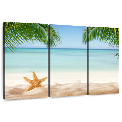 Étoile de mer tropicale Alvord