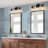 Froney 3 - Light Dimmable Vanity Light