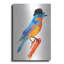 «Lord Bird» par Robert Farkas-1220557665