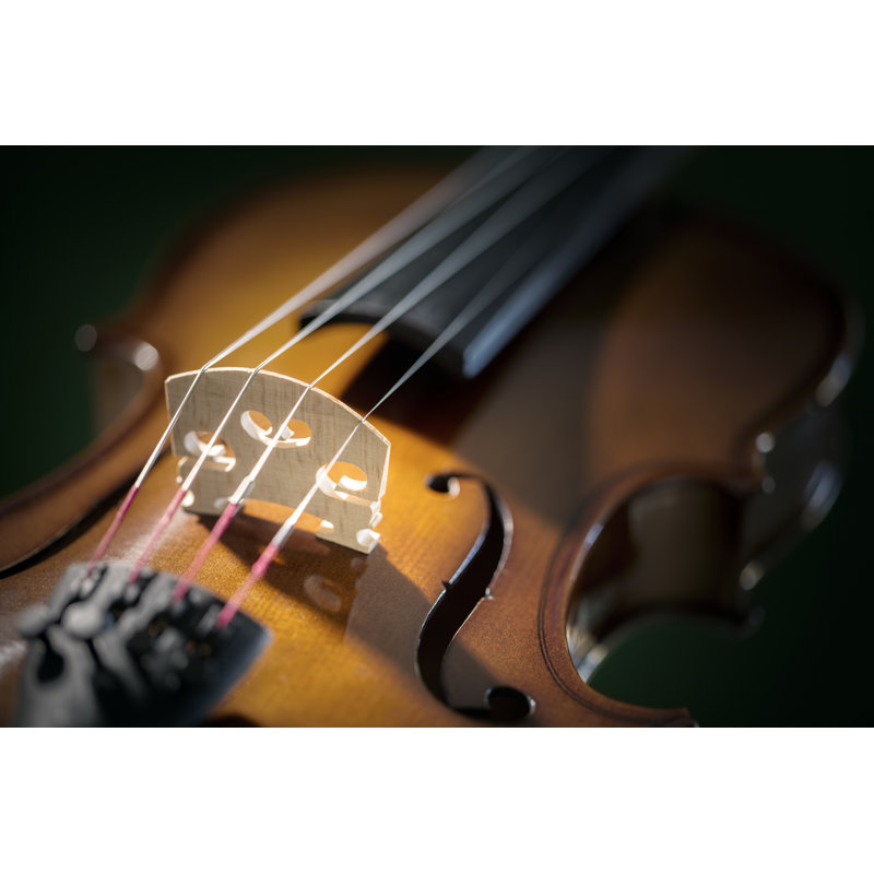 Violin - Wrapped Canvas Print, 51cm H x 76cm W x 3.8cm D