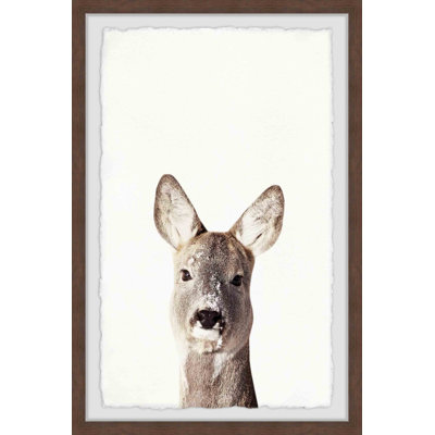 Kangaroo Close-up by Marmont Hill - Single Picture Frame Print
