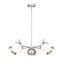 Trombetta 5 Light Chandelier in Modern Gold-983531528