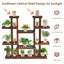 Plant Stand - Set of 12