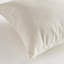 Coussin d'extérieur carré 20 po Flanary-369439952