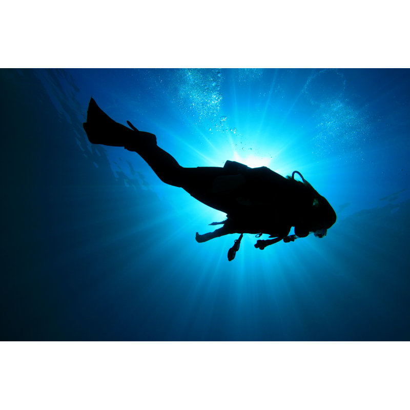 Scuba Diver - reproduction sur toile tendue, H 8 po x l 12 po