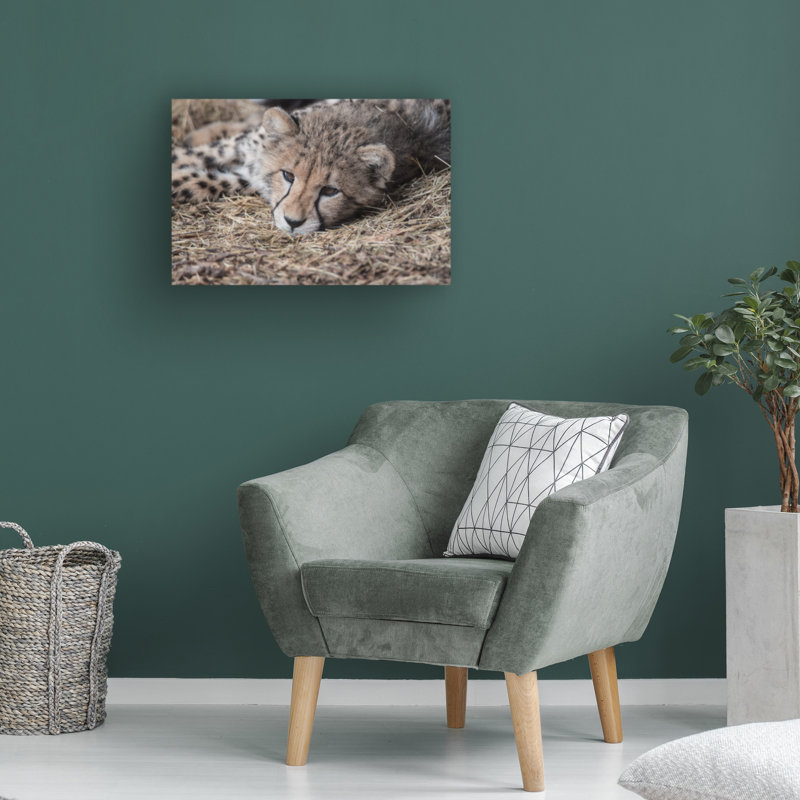 Cheetah Cub Horizontal Canvas Print in Tan and Brown