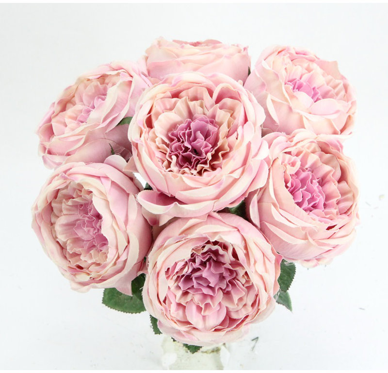 Buisson de roses en pleine floraison, Lavande