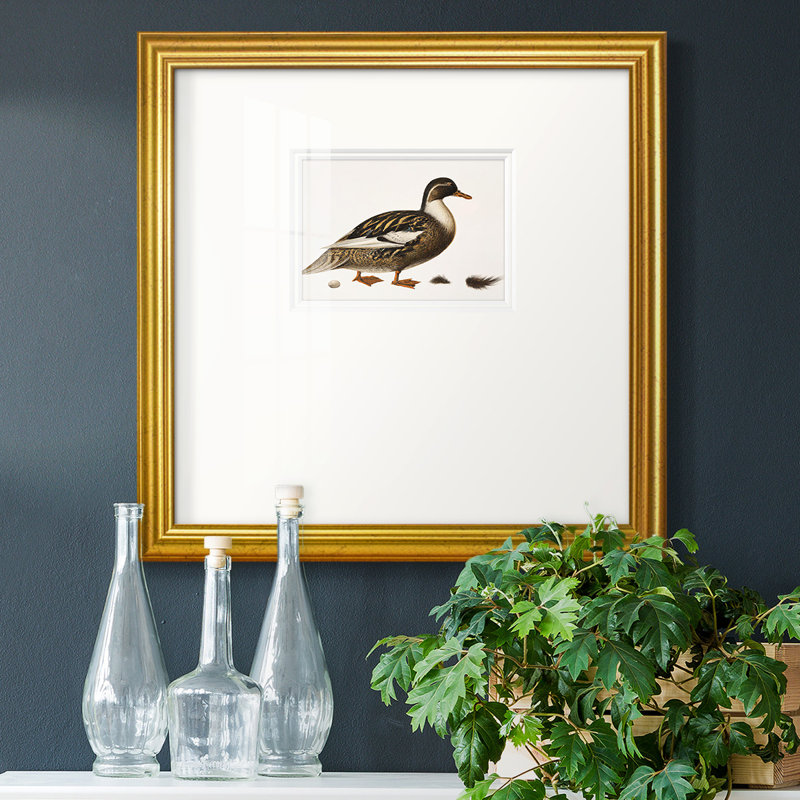 Golden Mallard - reproduction de cadre photo simple, H 21 po x l 21 po x P 1,25 po