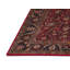 Soza Performance Oriental Indoor Rug-1076070285