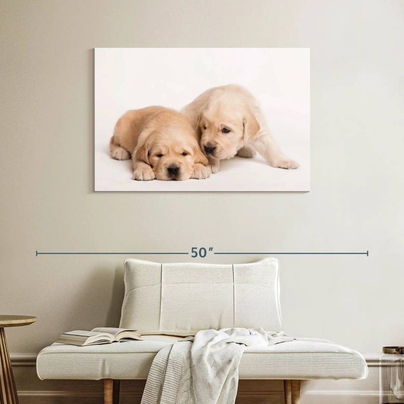 Brampt Golden Retriever de Brampt, H 26 po x l 39 po