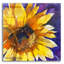 «Solstice» par Annelein Beukenkamp, art mural en verre acrylique-1598048690