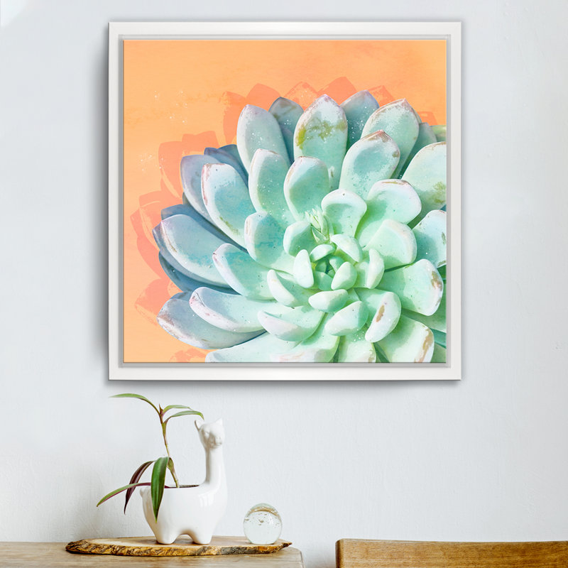 « réveil iv », impression sur toile succulent, H 30 po x l 30 po x P 1,5 po, Cadre blanc