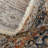 Benedetto Oriental Indoor Rug-556838396