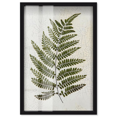 «Time's Imprint II», reproduction botanique par Art Remedy