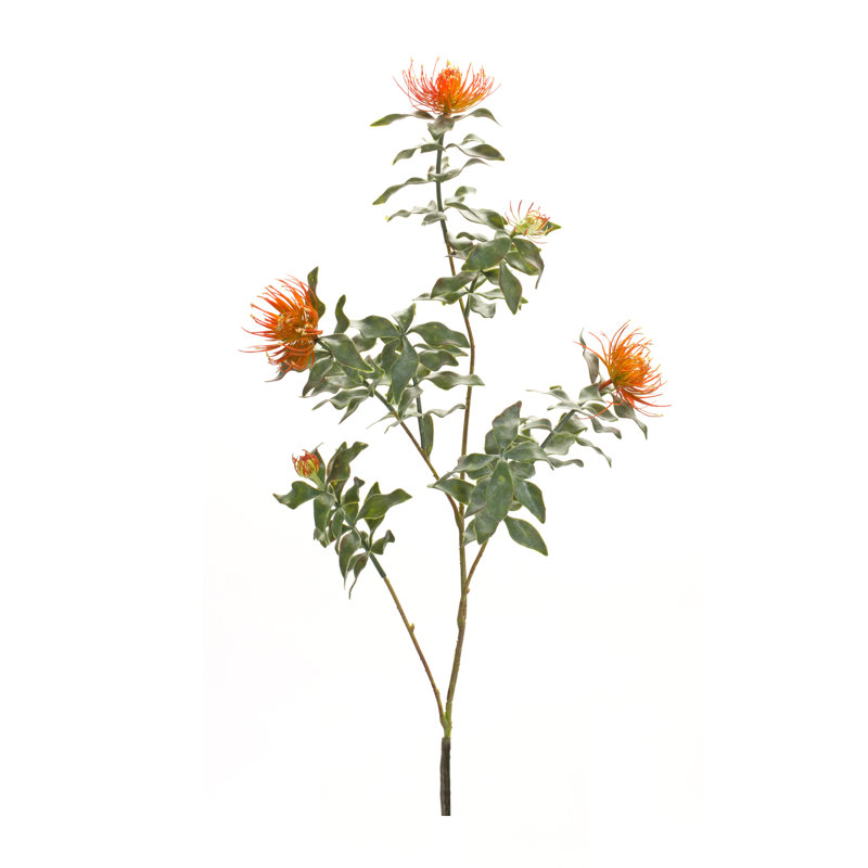Protea Sprays, Orange
