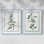 Impression encadrée Shabby Elegance Botanical I-Premium - prête à être accrochée - aucun clou requis - aucun clou requis-1992462120-1992462134