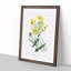Yellow Daisies - Picture Frame Painting Print-55613911-55613912